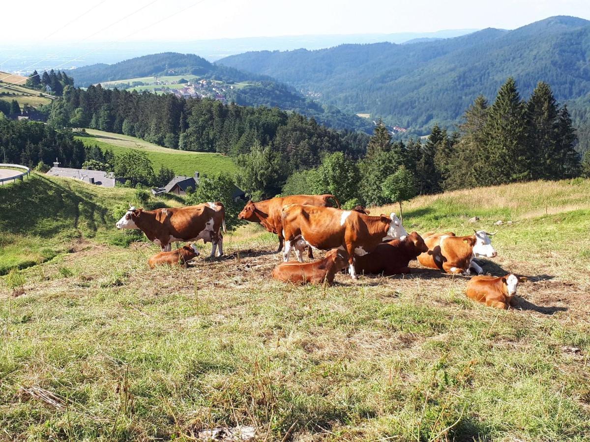 Reeshof Horben Exterior foto